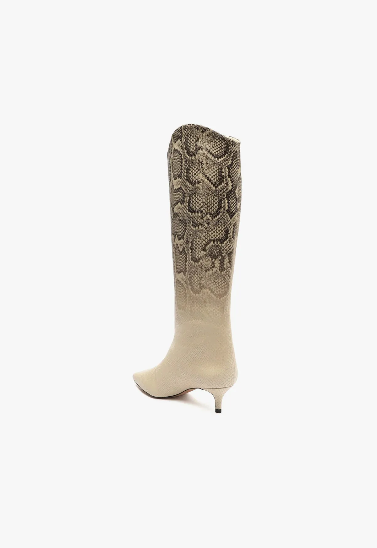 Maryana Lo Snake Faded Boot